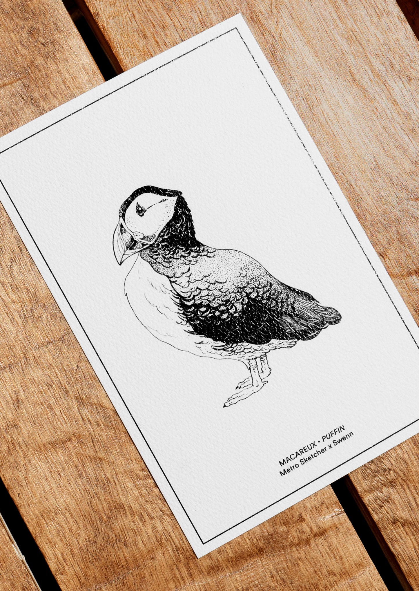 Postcard - Puffin